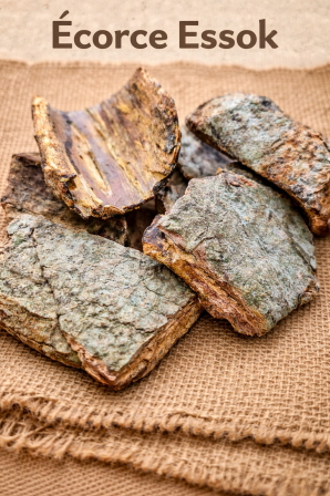 ChatGPT Image 10 avr. 2026, 23_37_56